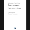 Il mare non aspetta. Viaggio emotivo in Norvegia di Valentina Fortichiari | 11/07/2024 | Il Timone Libri
