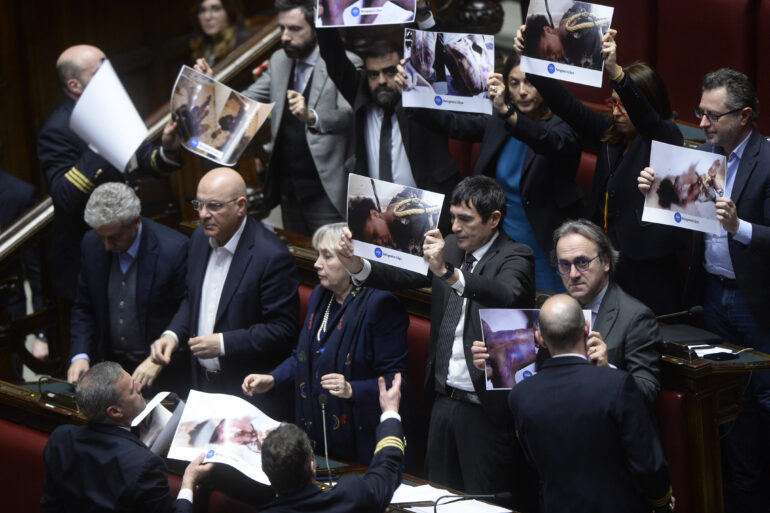 caso almasri