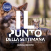 Animali selvatici | Il Punto della Settimana