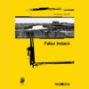 Falso indaco di Federico Anelli | Il Timone Libri